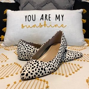 VIONIC - Women's Quartz Lena Pointed Ballet Flat, Size 6